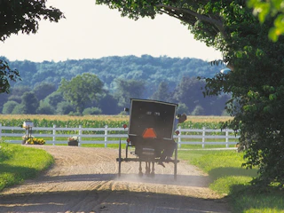 Image of Amish Buggy in Amish Country, northern Indiana