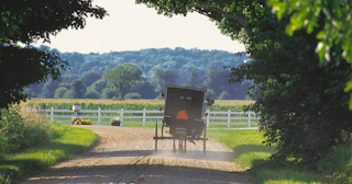 Image of Amish Buggy in Amish Country, northern Indiana