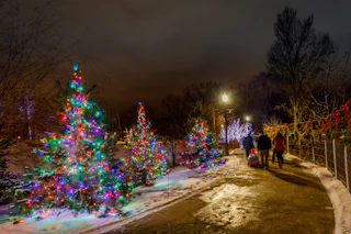 Wellfield Christmas Lights Elkhart 03 20943cbb bd94 4c57 8eff 93680f863727